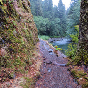 Salmon River Trail Hike